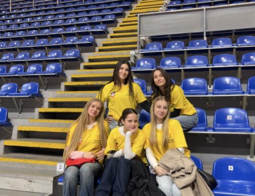 МЕЂУНАРОДСНИ ДАН ОСОБА СА ИНВАЛИДИТЕТОМ